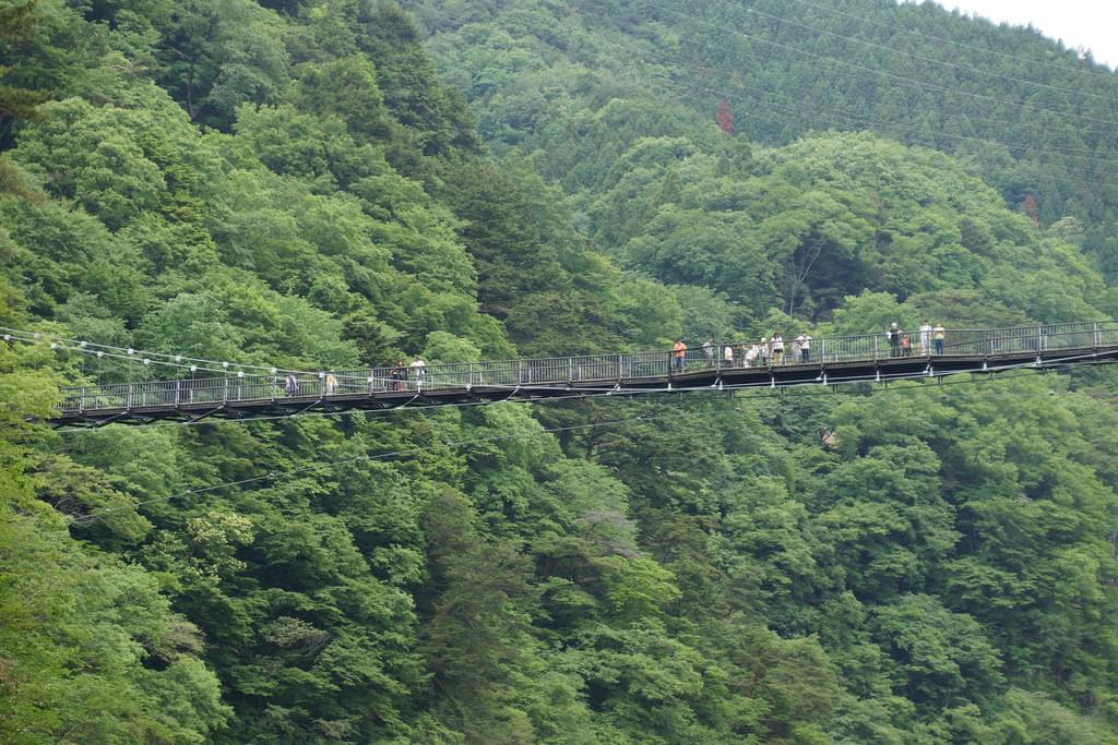 鬼怒川の人気観光スポット15選！ここに行けば間違いないおすすめ鉄板スポット！