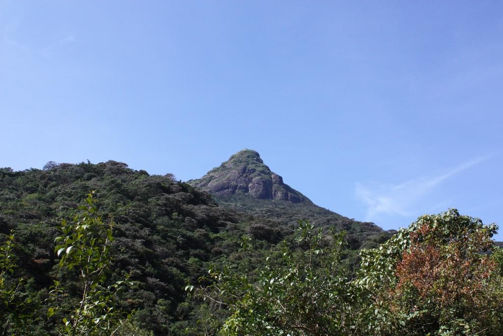 スリランカのおすすめ観光スポット15選！豊かな自然と仏教文化の美しい国