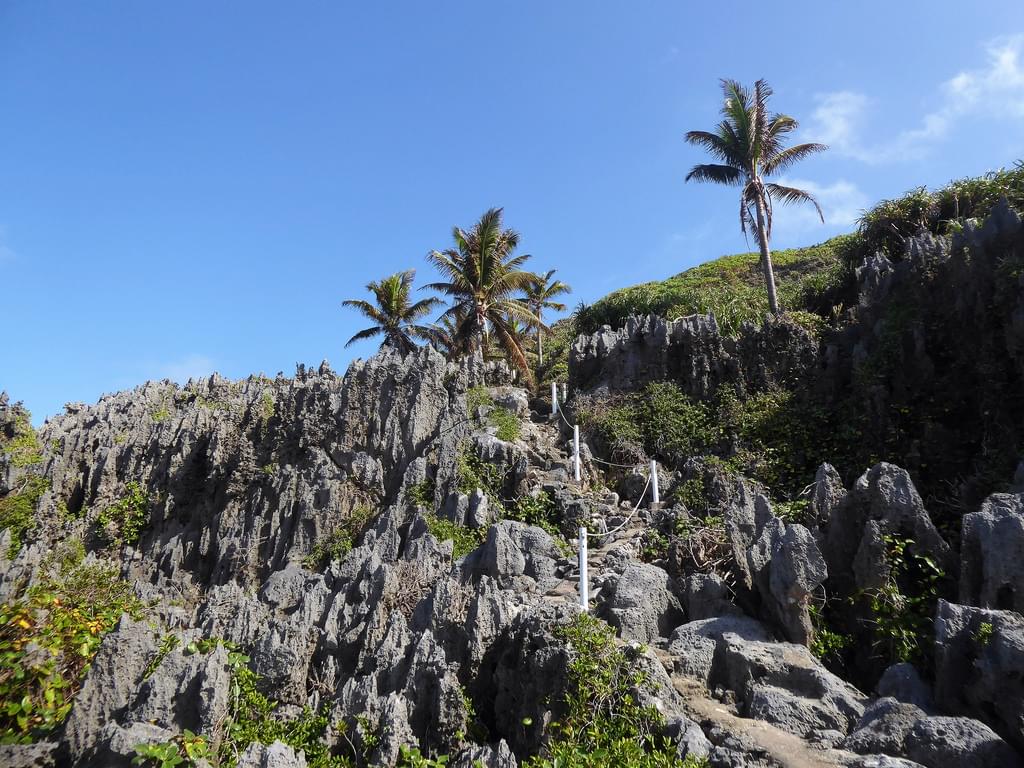ニウエ基本情報 【気候・服装編】ポリネシアの中にある小さな熱帯の島国