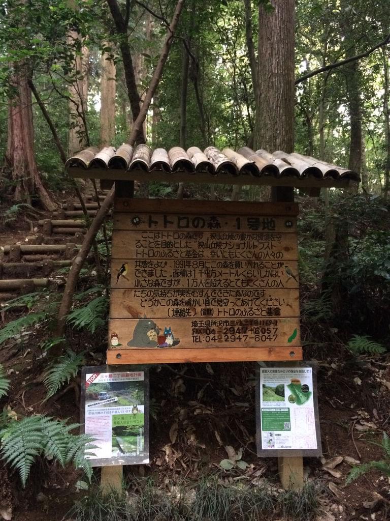 埼玉の所沢にあるトトロの森で散策を楽しみたい！おすすめコースをご紹介♪