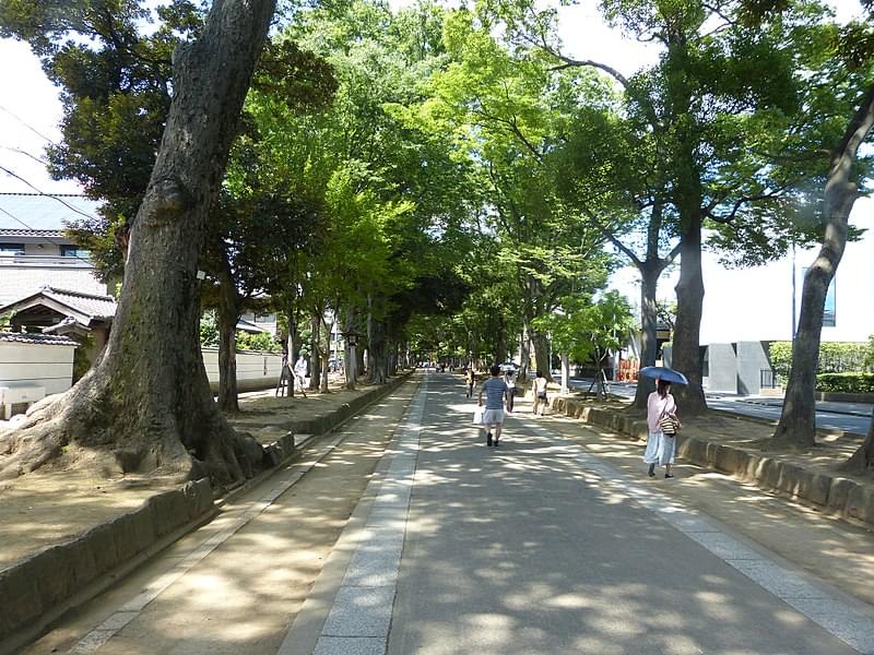 武蔵一宮氷川神社の見どころ&参道でおすすめの食べ歩きスポットをご紹介！