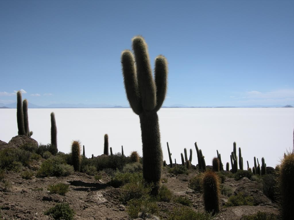 ボリビア人気観光スポットおすすめ５選！赤い湖に温泉、穴場夜景スポットも♪