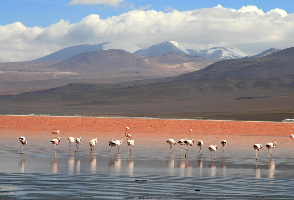 ボリビア人気観光スポットおすすめ５選！赤い湖に温泉、穴場夜景スポットも♪