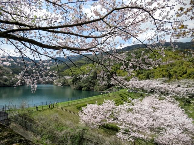 小倉南区観光なら！お花や紅葉を楽しめるおすすめスポット