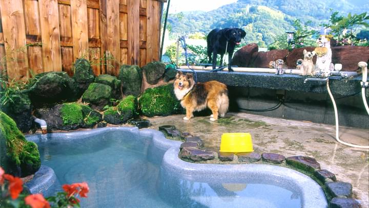 湯河原・奥湯河原温泉のおすすめの宿15選