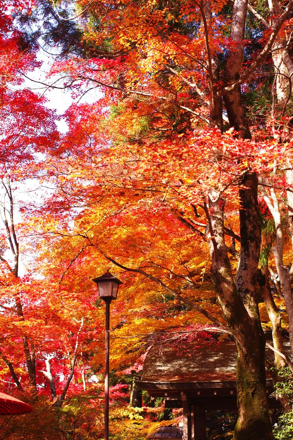 有馬温泉の定番おすすめ観光スポット15選！日本書紀にも登場する日本最古の温泉！