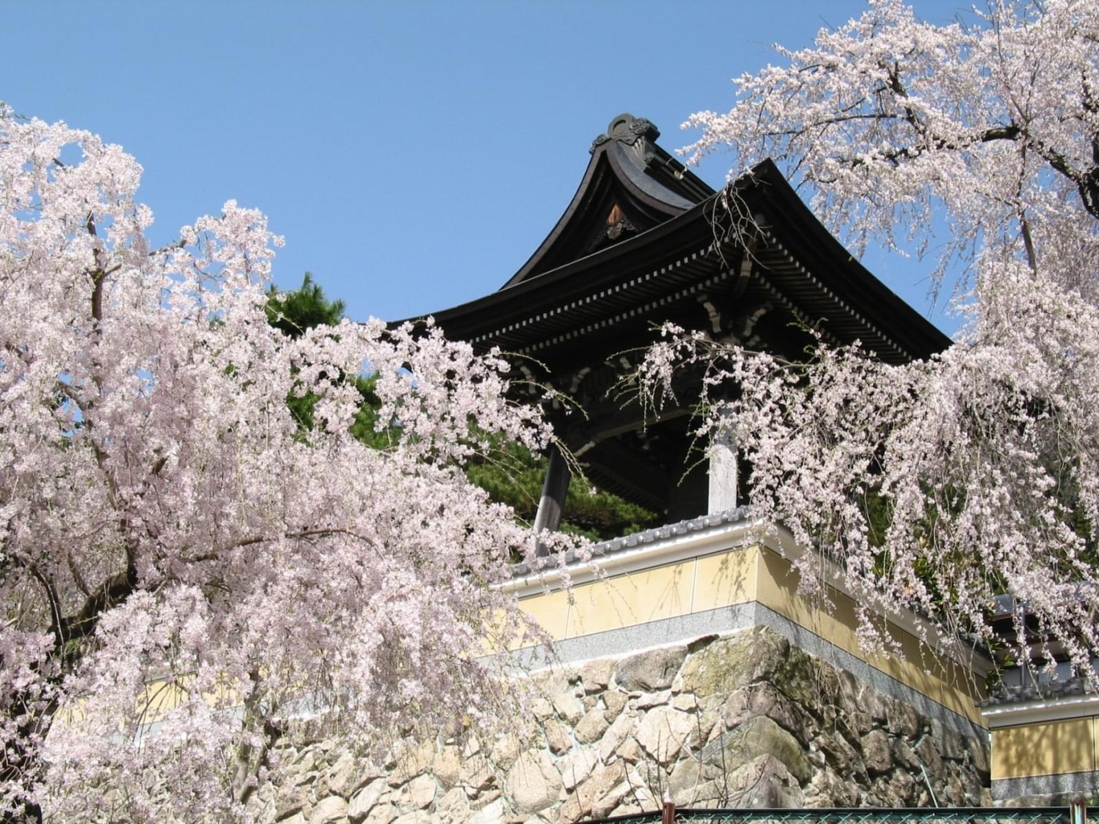 下呂温泉のおすすめ観光スポット15選！寺社仏閣・遺跡に遺構・博物館な見所満載！