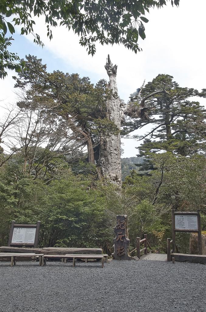 世界遺産・屋久島の人気観光スポット15選！大自然に抱かれよう！