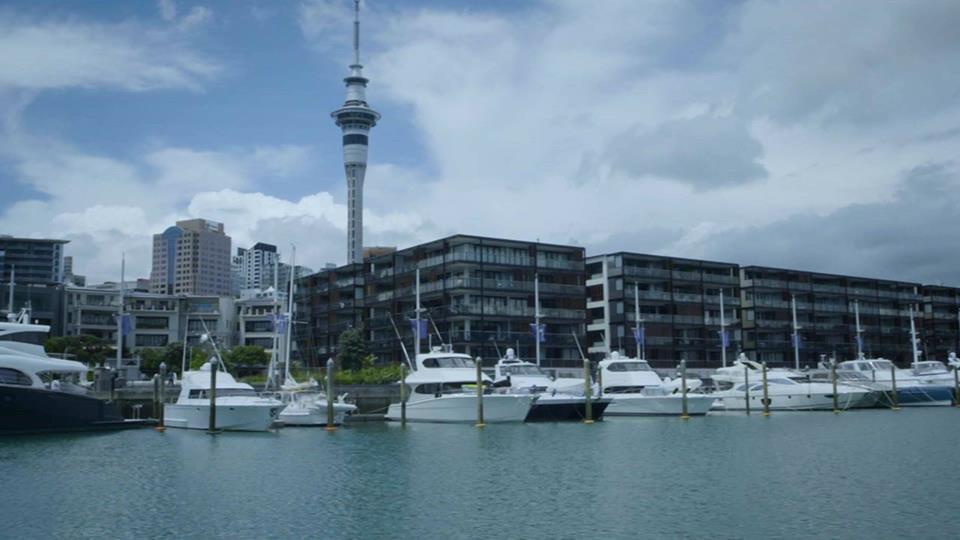 ヨットの街オークランドでクルーズとセイリング体験！inニュージーランド
