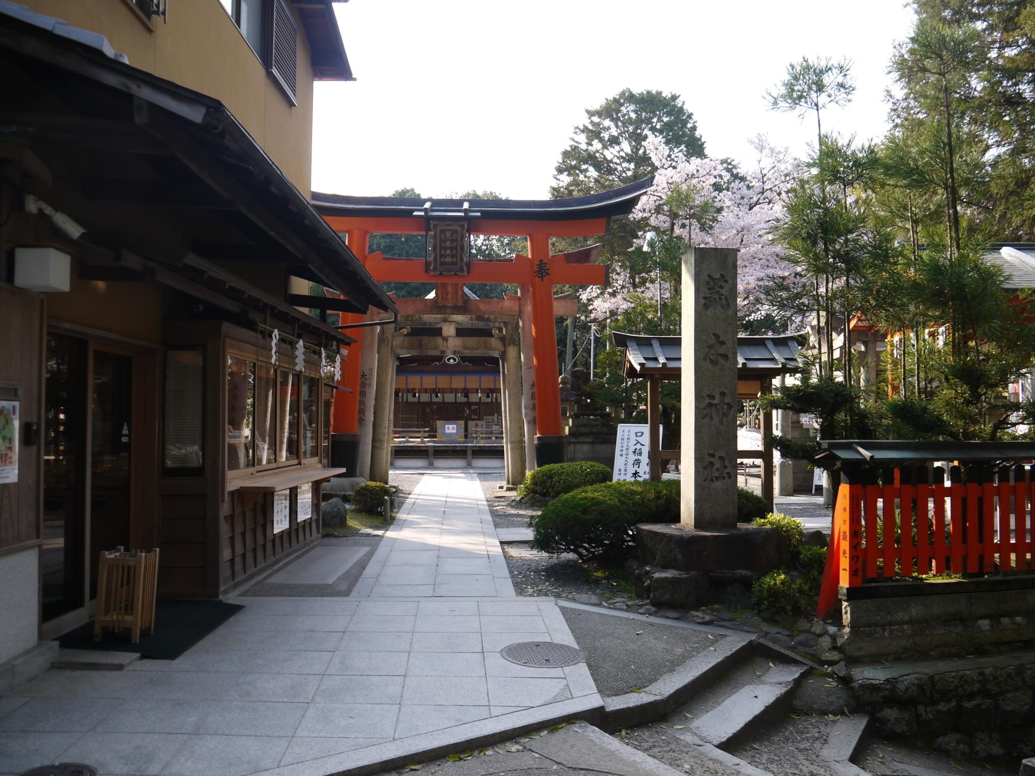 京都女子旅ならここがおすすめ！フォトジェニックな観光スポット＆アクティビティ15選！