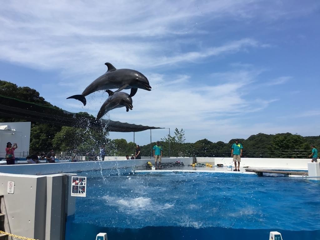 九十九島水族館海きららの見どころ＆可愛い海の動物たち