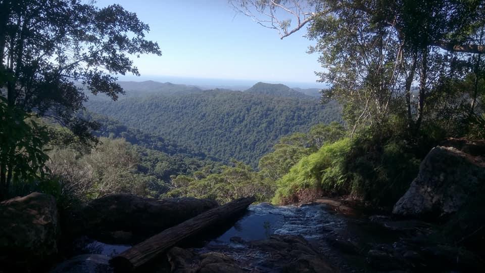 日本語で参加ＯＫ！現地発着の人気ツアー・ゴールドコースト編