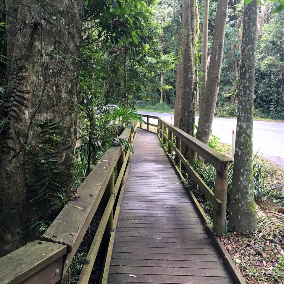 日本語で参加ＯＫ！現地発着の人気ツアー・ゴールドコースト編