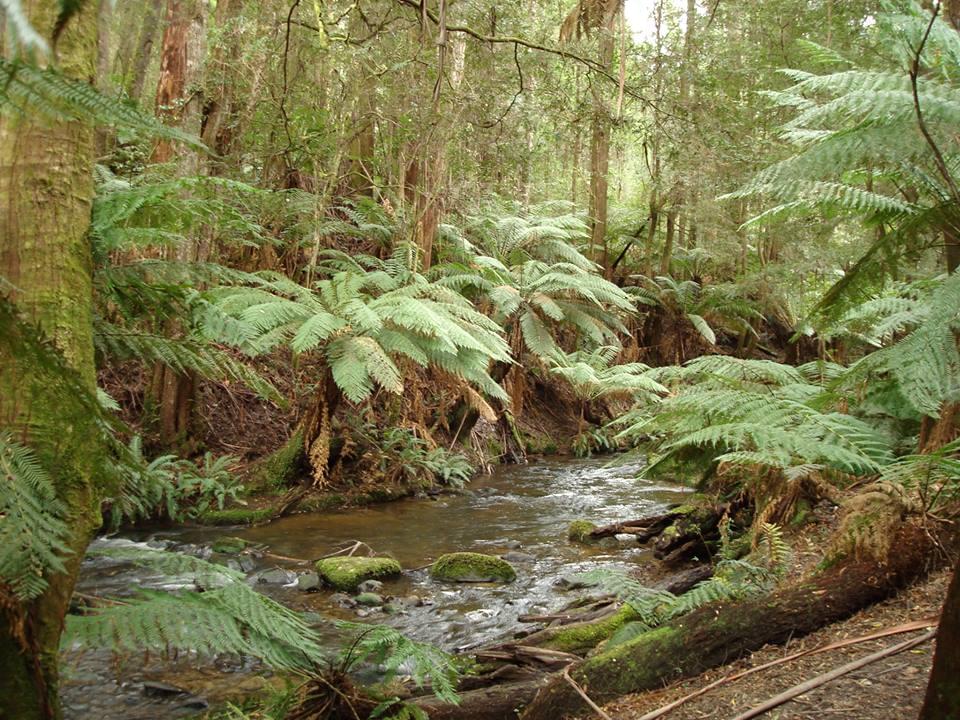 日本語で参加ＯＫ！現地発着の人気ツアー・ゴールドコースト編