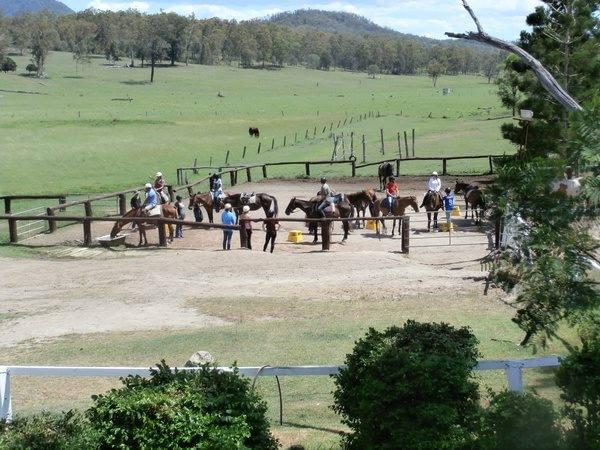 日本語で参加ＯＫ！現地発着の人気ツアー・ゴールドコースト編
