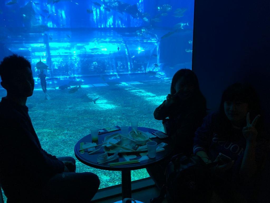 美ら海水族館の大水槽で悠々と泳ぐジンベイザメを見よう！料金・アクセス・チケットの割引情報まで