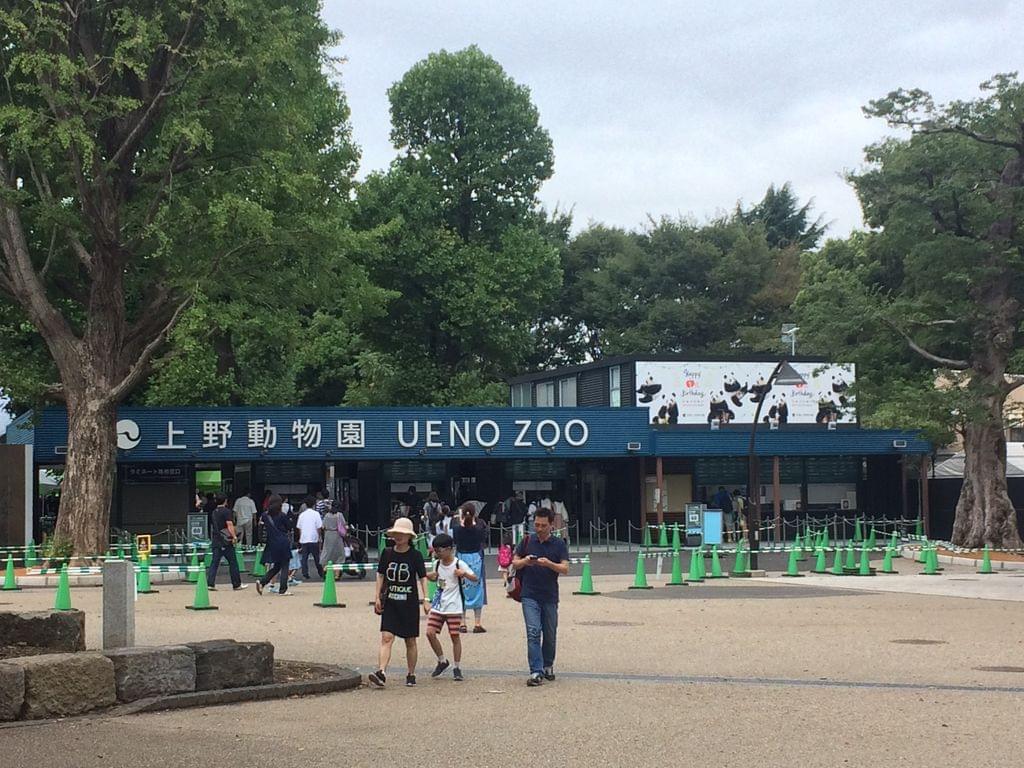 上野動物園（東京都恩賜上野動物園）はパンダだけじゃない！おすすめの見どころとアクセスからホテルまで！
