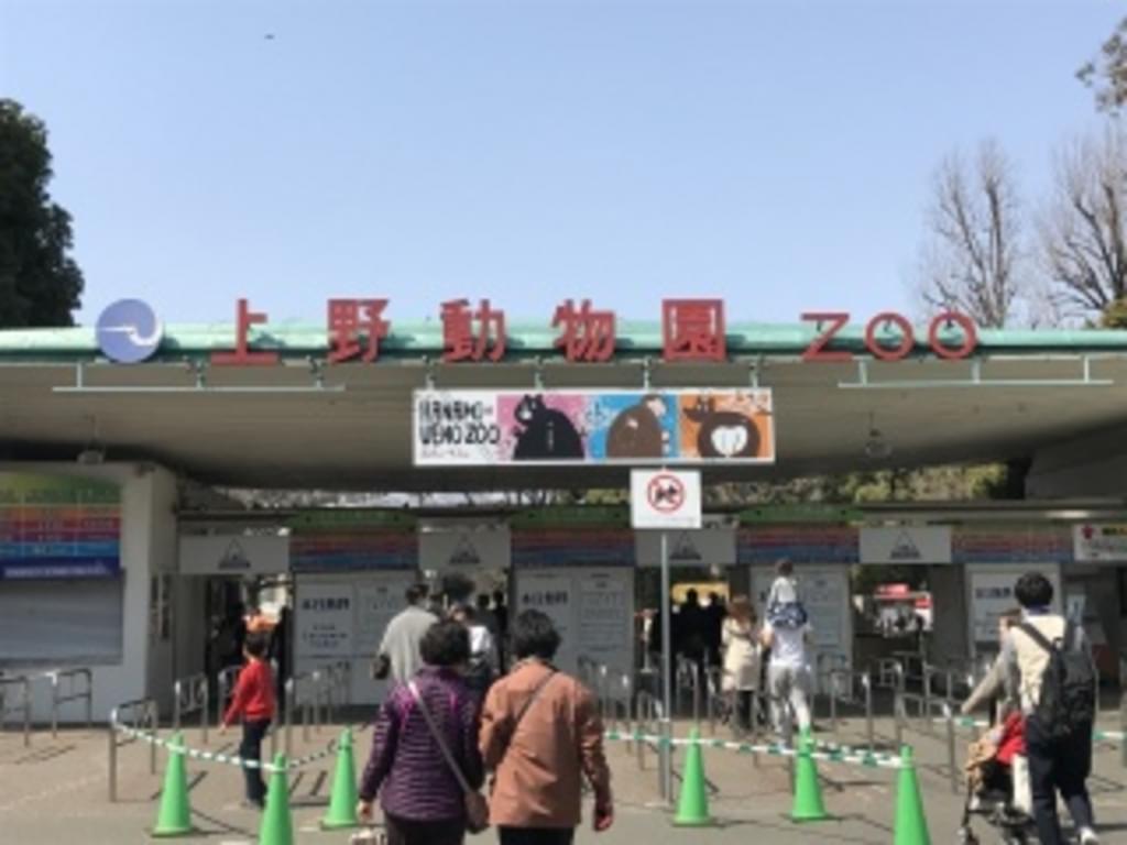 上野動物園（東京都恩賜上野動物園）はパンダだけじゃない！おすすめの見どころとアクセスからホテルまで！