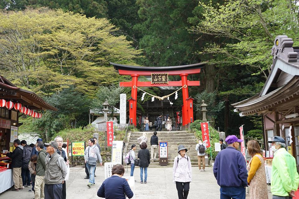 【2021年】栃木でおすすめの初詣スポットTOP18！地元にも人気パワースポットって？