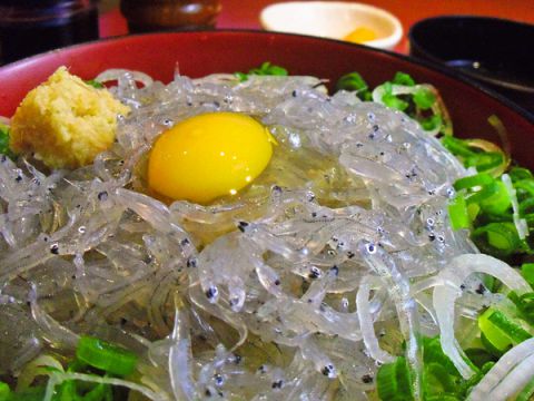 静岡で食べられる絶品生しらす丼TOP22！お手頃価格からお寿司屋さんまでご紹介