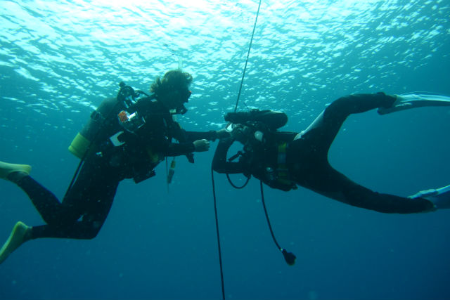 宮古島でおすすめのダイビングランキングTOP20！神秘的な宮古島の海で海中遊泳を楽しもう！