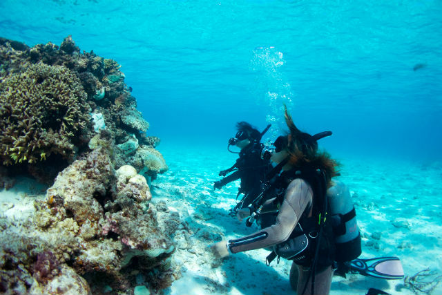 宮古島でおすすめのダイビングランキングTOP20！神秘的な宮古島の海で海中遊泳を楽しもう！