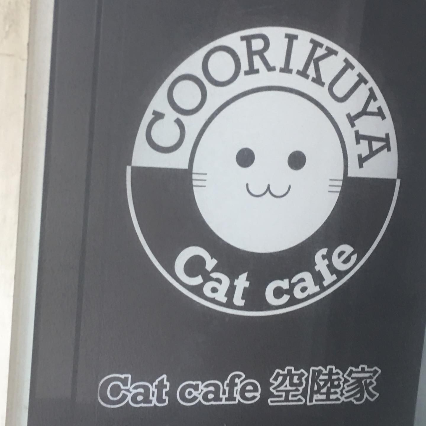 神奈川でおすすめの猫カフェ15選！Google口コミで4つ星以上の人気店を集めました