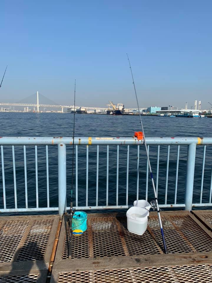 横浜でおすすめの釣りスポットTOP17！穴場もご紹介