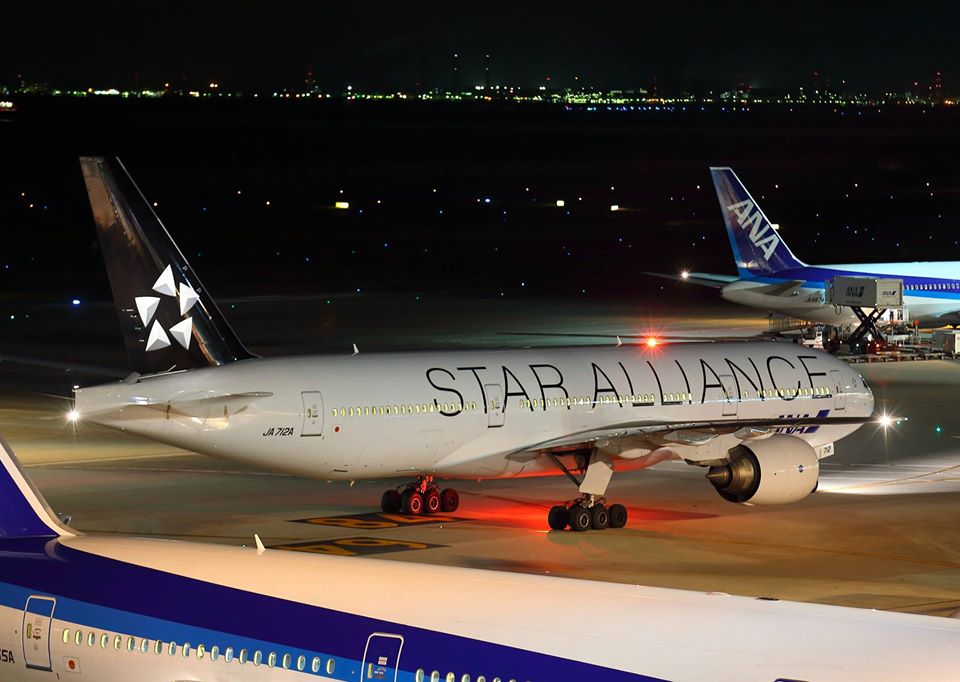 【下書き】ANAとJALのマイル比較！貯めるならどっちのマイレージプログラムがおすすめ？