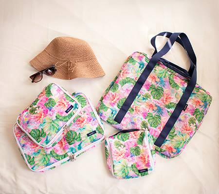 【下書き】ANAとJALのマイル比較！貯めるならどっちのマイレージプログラムがおすすめ？