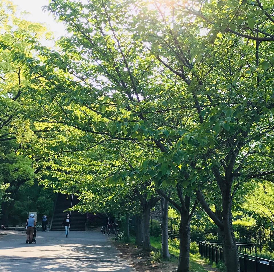 大阪のおすすめ自然スポット15選！緑にふれてリフレッシュしよう