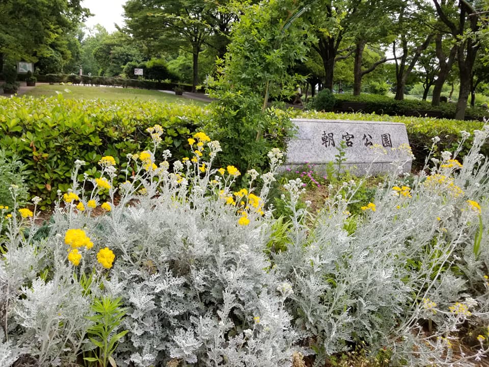 愛知県にあるおすすめな公園TOP20！楽しい時間を過ごしましょう