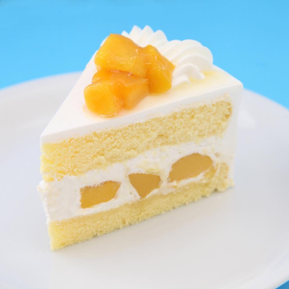 新横浜駅周辺の美味しいケーキ店TOP15！Google口コミ4つ星以上の人気店が集結