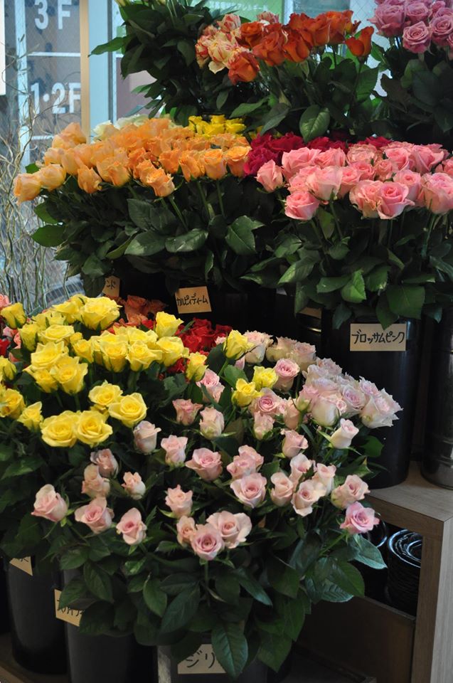 梅田周辺の安くて人気な花屋15選！便利でおすすめポイントも紹介