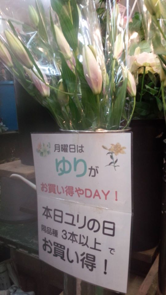 梅田周辺の安くて人気な花屋15選！便利でおすすめポイントも紹介