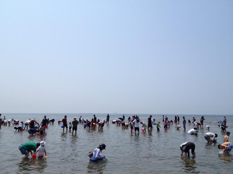 関西でおすすめの潮干狩りスポット15選！穴場や無料スポットも紹介