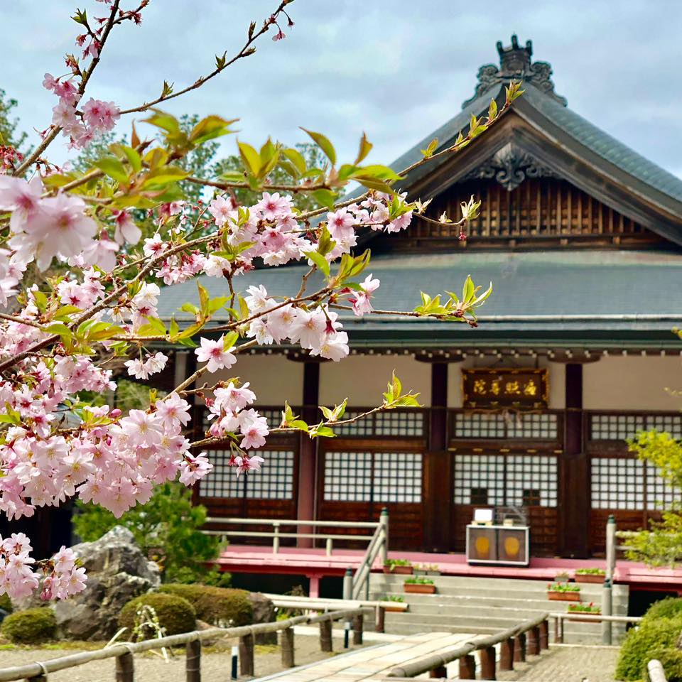 高野山のおすすめ宿坊ランキングTOP15！お寺や神社に泊まってみよう