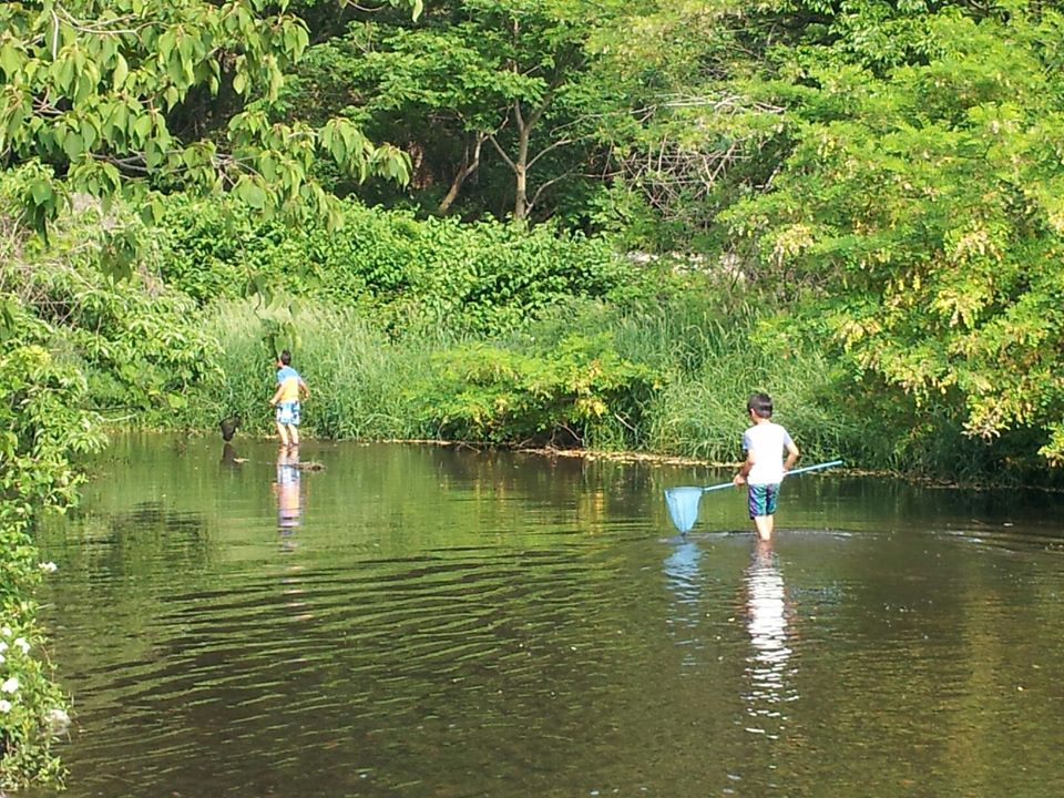 神奈川で人気の川遊び＆水遊びスポット20選！暑い夏に涼をとろう