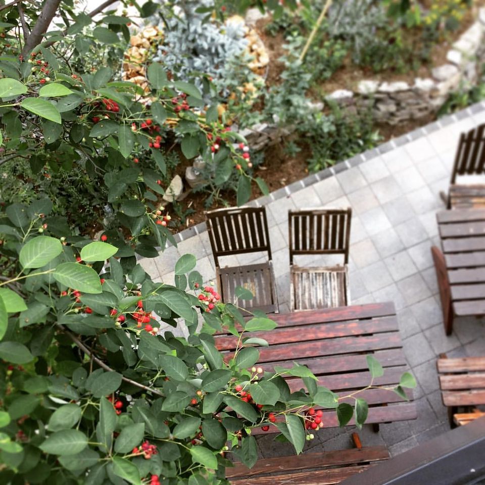 長野駅周辺のおすすめカフェ20選！人気スポットや穴場をご紹介