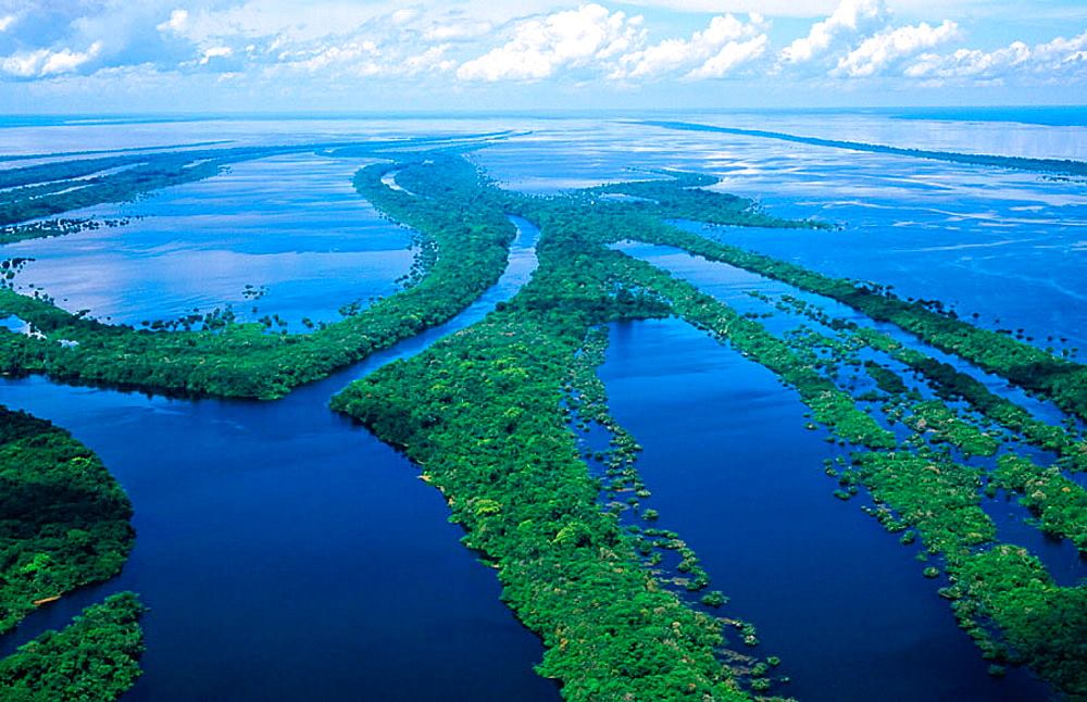 アマゾン川の危険生物15選！これであなたもアマゾン通