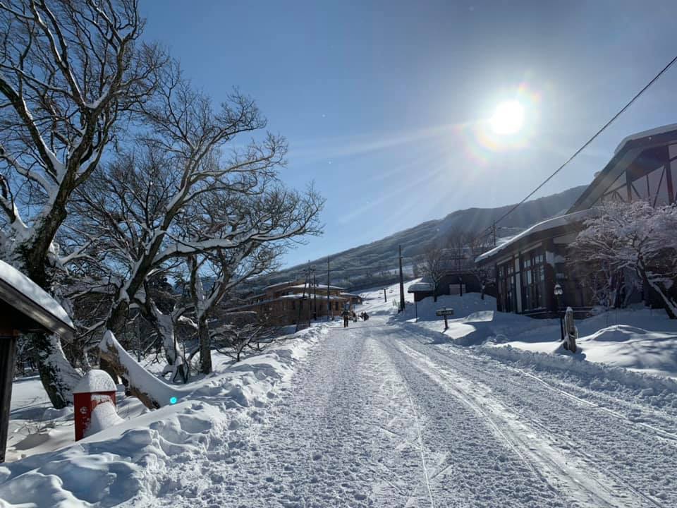冬の鳥取・雪で気を付けること＆おすすめ観光スポット10選！意外と降る雪の情報まとめ